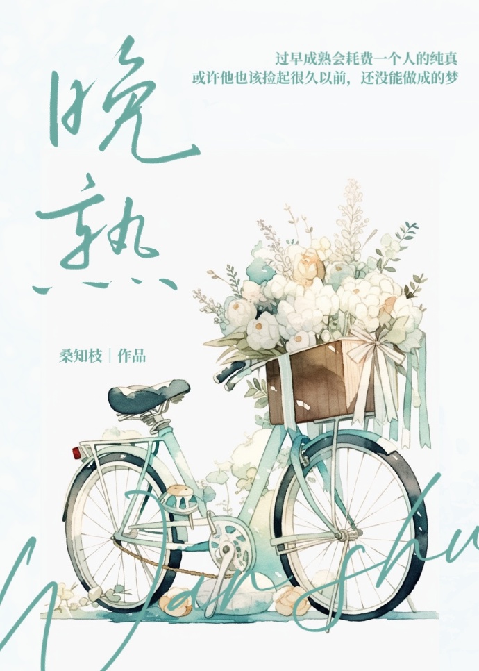 晚章最新小说，都市传奇崭新篇章