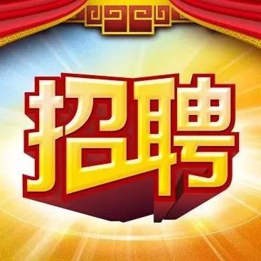 政府最新招聘启事，小巷深处的独特小店等你来探索！