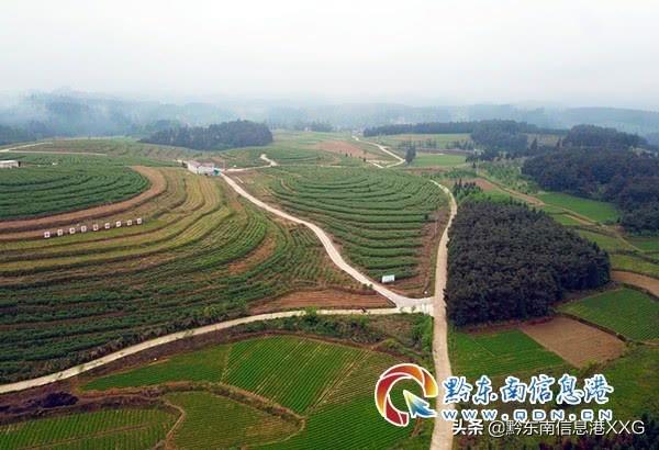 黄平谷陇高速最新动态与小巷风情小店探秘