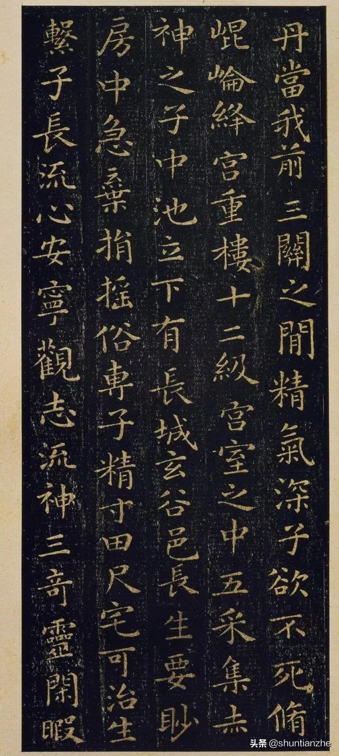 灵台县门户网最新留言，自然美景探索之旅启程