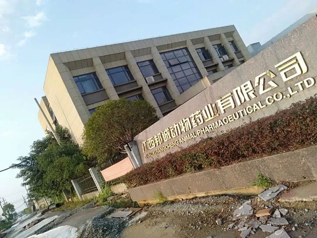 江西南昌向塘最新招聘，小巷中的隐藏宝藏，职业机会等你来探索！