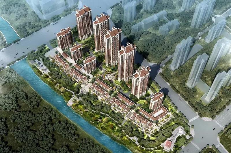 漳州滨海康桥最新动态，温馨日常的点滴记录