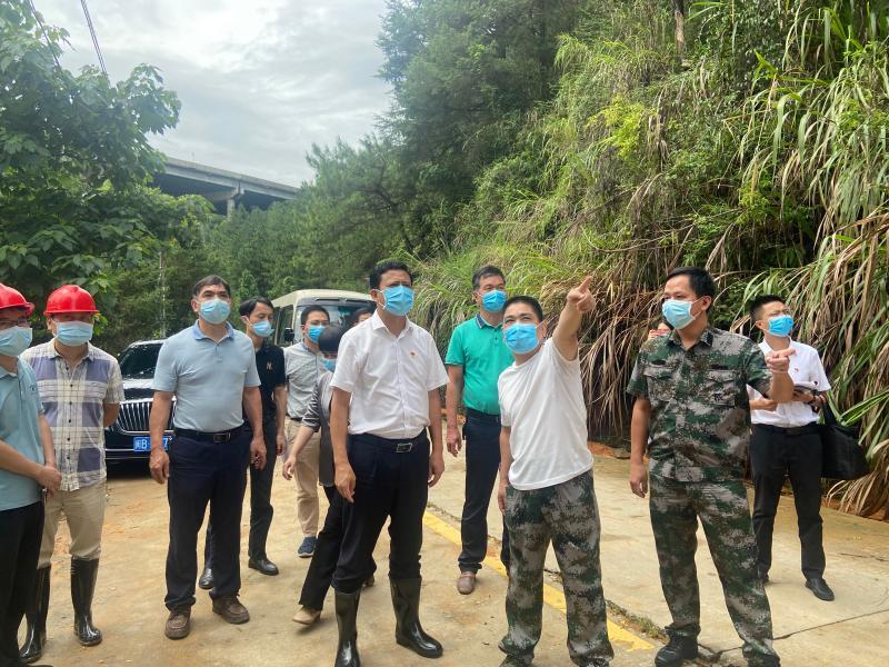 仙游道路规划最新动态，迈向未来的励志之旅启动